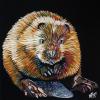 Beaver on Black, 12" x 12", acrylic on gallery canvas