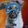 Sam Langford (dog), 20" x 20", acrylic on gallery canvas