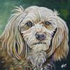 Buddy, 12" x 12", acrylic on gallery canvas